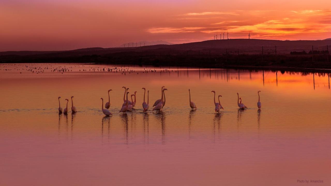 Viglamo Domaine Presqu'Ile De La Franqui Hotel Leucate Eksteriør billede